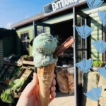 Ice cream mint choc chip from adams farm shop derbyshire