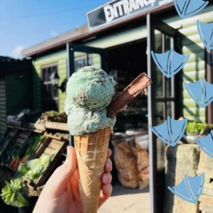 Ice cream mint choc chip from adams farm shop derbyshire