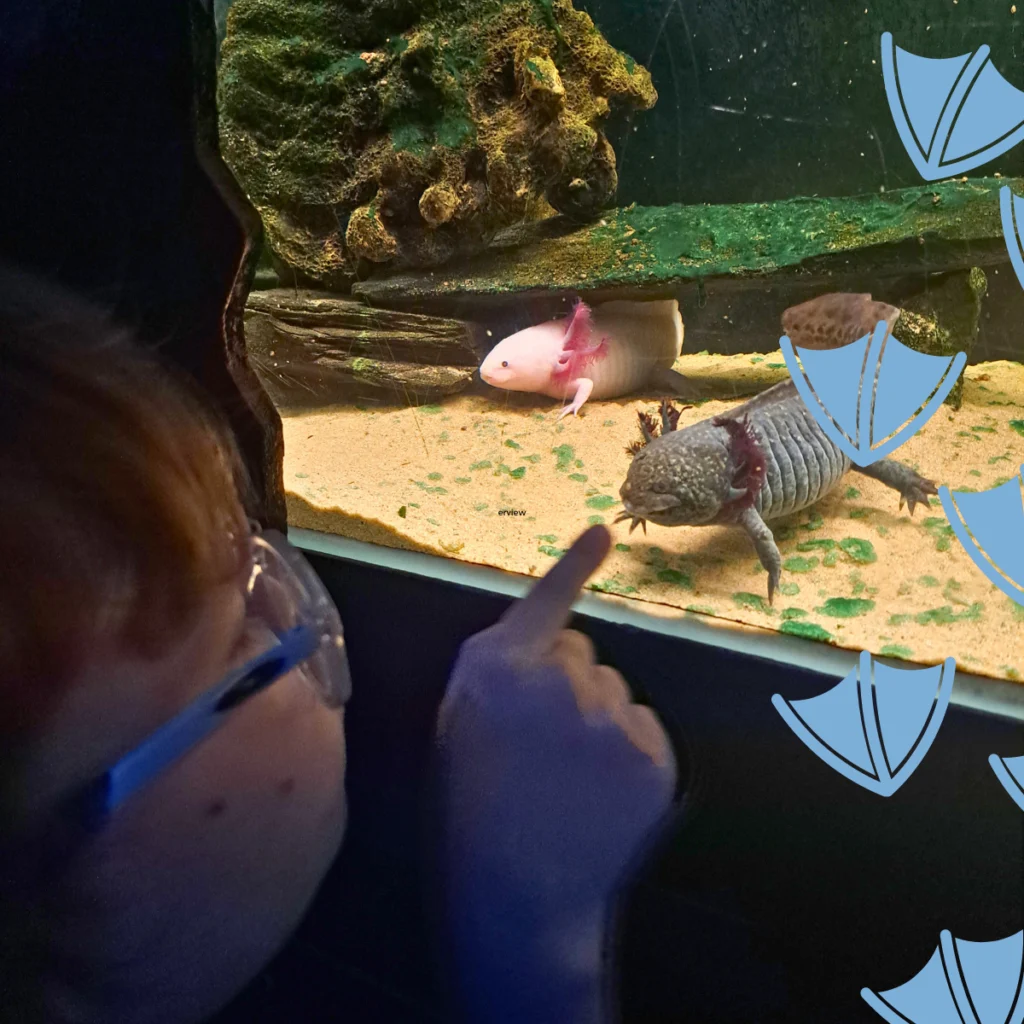 matlock aquarium in Derbyshire