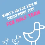 ducks with whats on in derbyshire february half term in writing